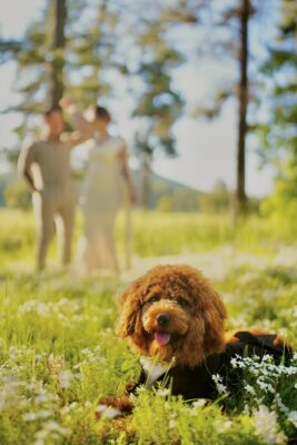 Facetune 08 06 2025 11 03 02