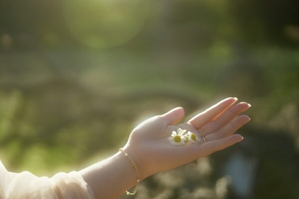 Facetune 27 04 2025 23 13 11 2